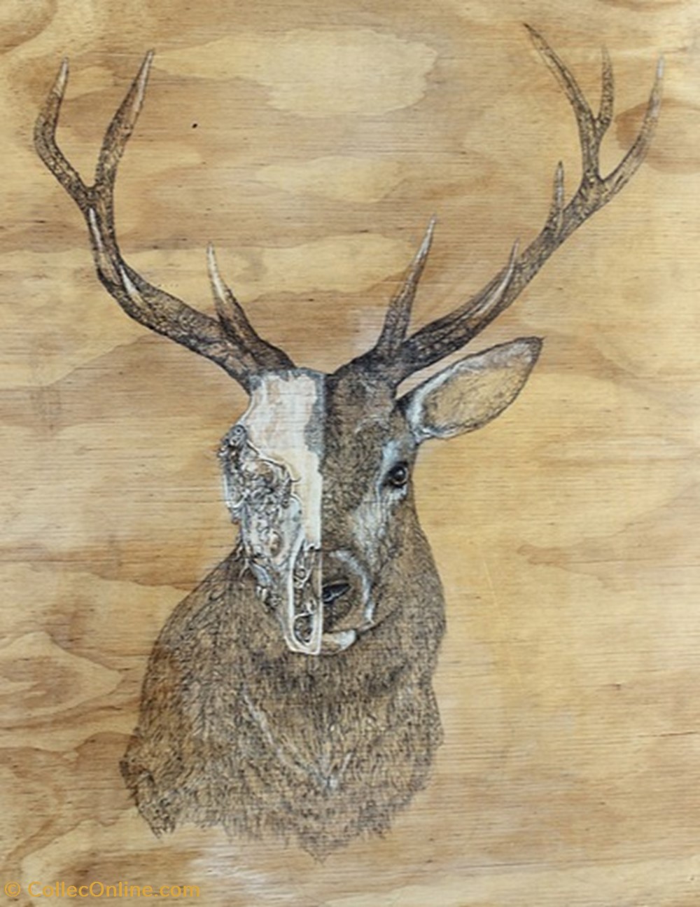 Stag Erin Smith Art & Antiquities Contempory Australian Art