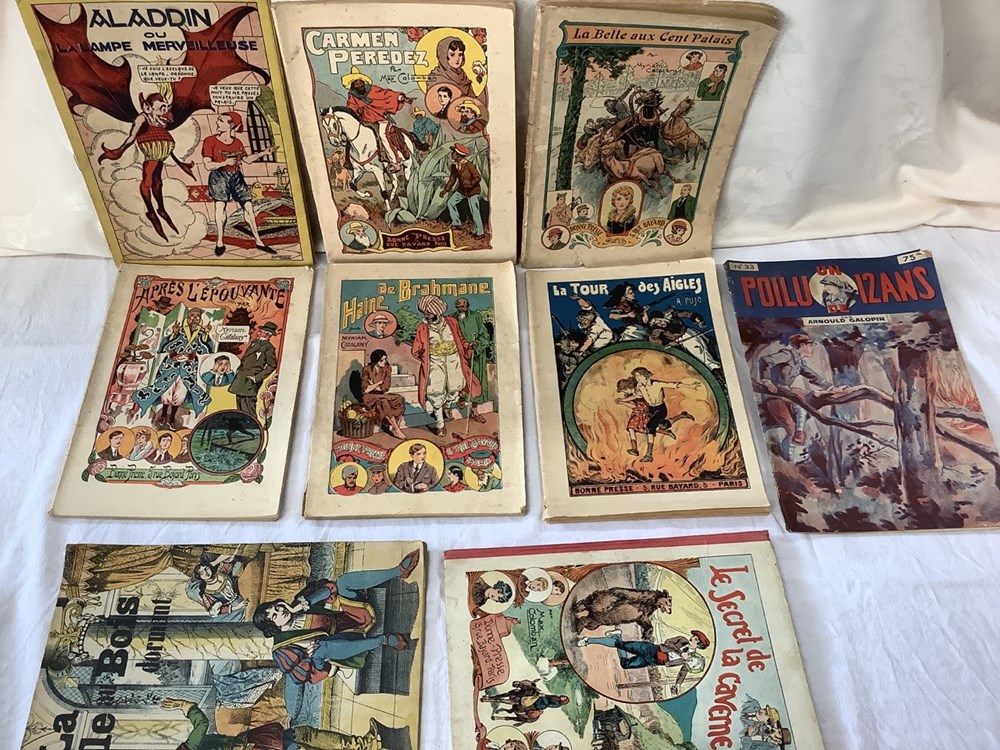 Lot de 9 illustrés pour enfant et ado, en état d’usage, non crayonnés, non déchirés. monnaies lot de 9 illustres pour enfant et ado en etat d usage non crayonnes non dechires