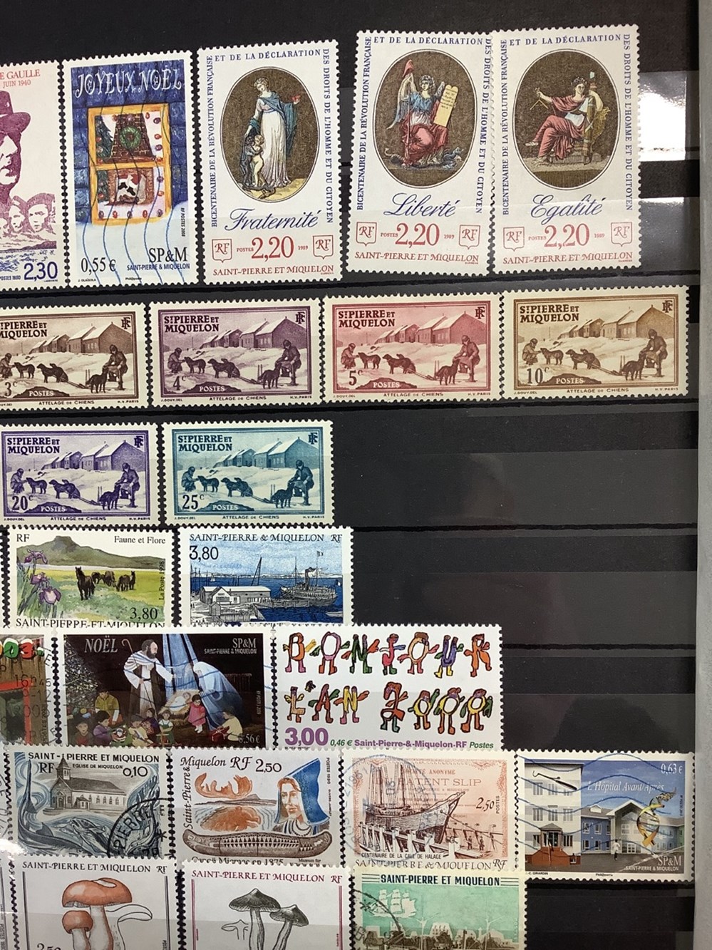 2 albums de timbres divers dont Vatican, Liban, Turquie, Syrie, Indochine etc 10 monnaies 2 albums de timbres divers dont vatican liban turquie syrie indochine etc