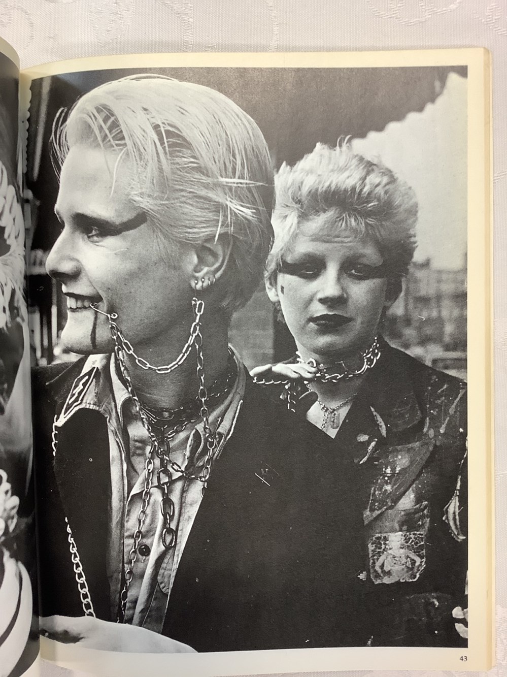 Livre broché « In the Gutter », les Punks, édition 1978 5 monnaies livre broche in the gutter les punks edition 1978
