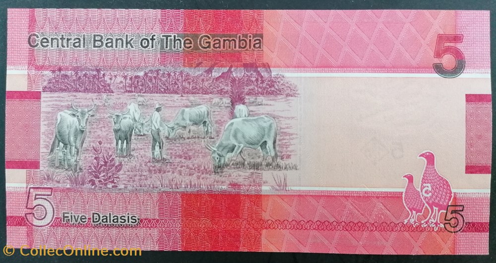 Gambie P-037a 5 Dalasis 2019 billets afrique gambie p 037a 5 dalasis 2019