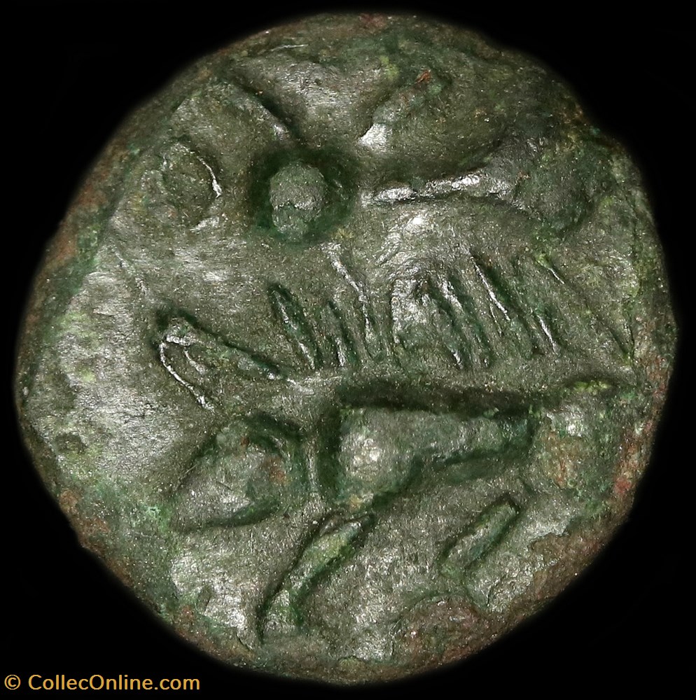 monnaie antique av jc ap gauloise bronze aux sangliers affrontes