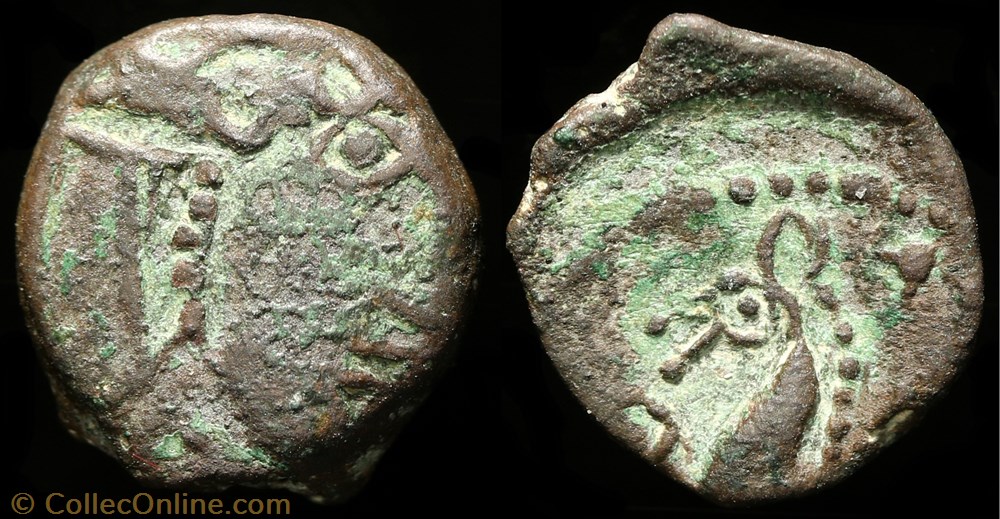 Bronze au cheval et aux annelets monnaie antique av jc ap gauloise bronze au cheval et aux annelets