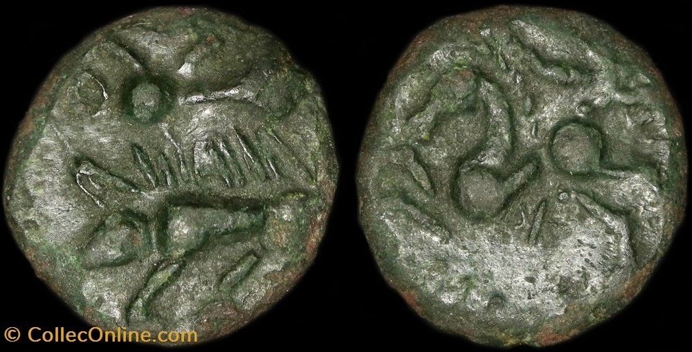 monnaie antique av jc ap gauloise bronze aux sangliers affrontes