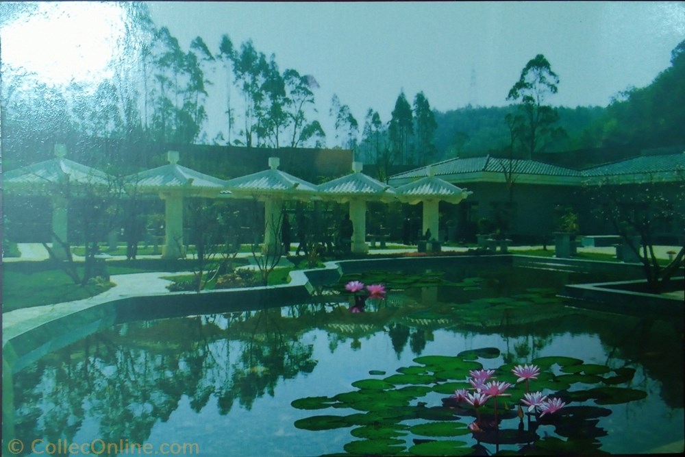 postcard asium potted landscape