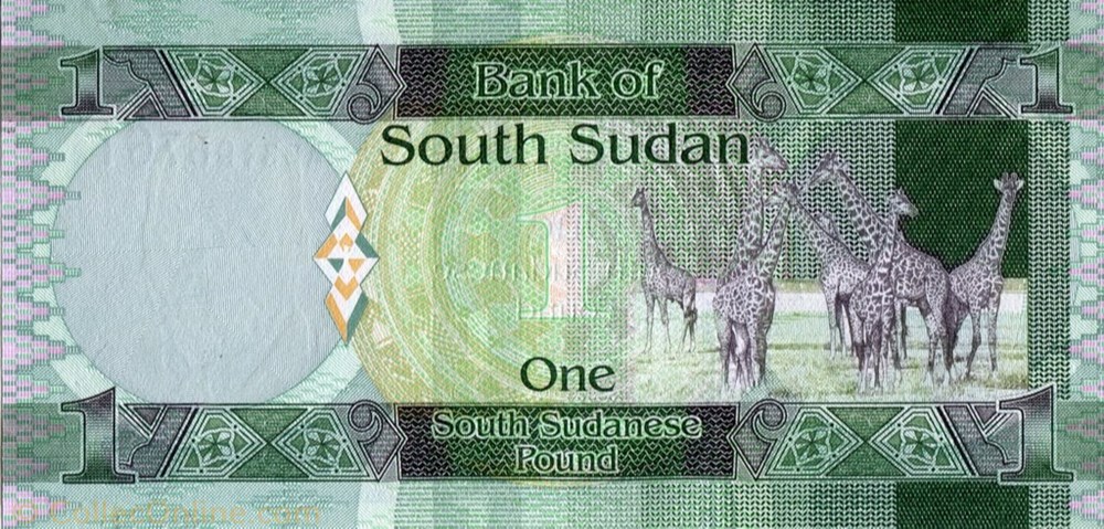 South Sudan P-5a 1 Pound  Year 2011 Giraffes Uncirculated Banknote Africa 