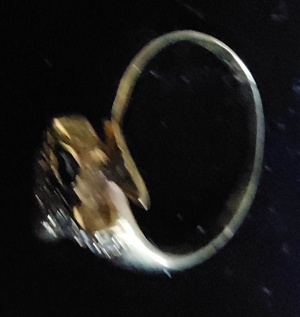 Ring Gerbil art antiquities ring gerbil