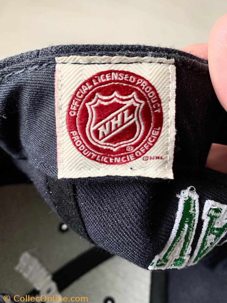 clothe and accessory vancouver canucks snapback cap