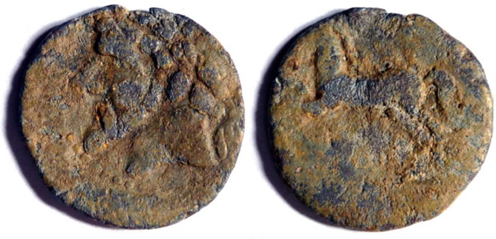 Royaume de Numidie - Massinissa (203-148) ou Micipsa (148-118) monnaies antiques royaume de numidie massinissa 203 148 ou micipsa 148 118