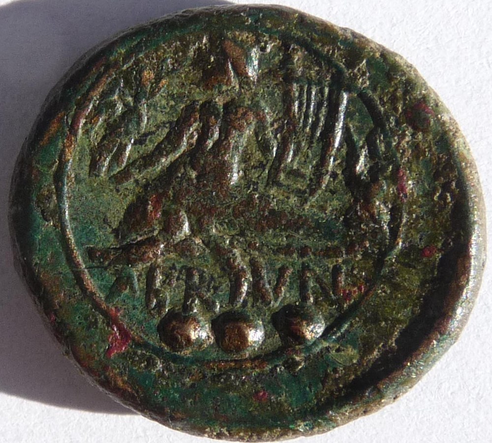 Monnaie de Calabre (Brundisium) frappée entre-200 et -100 av JC. monnaies antiques romaines imperiales republicaines monnaie de calabre brundisium frappee entre 200 et 100 av jc