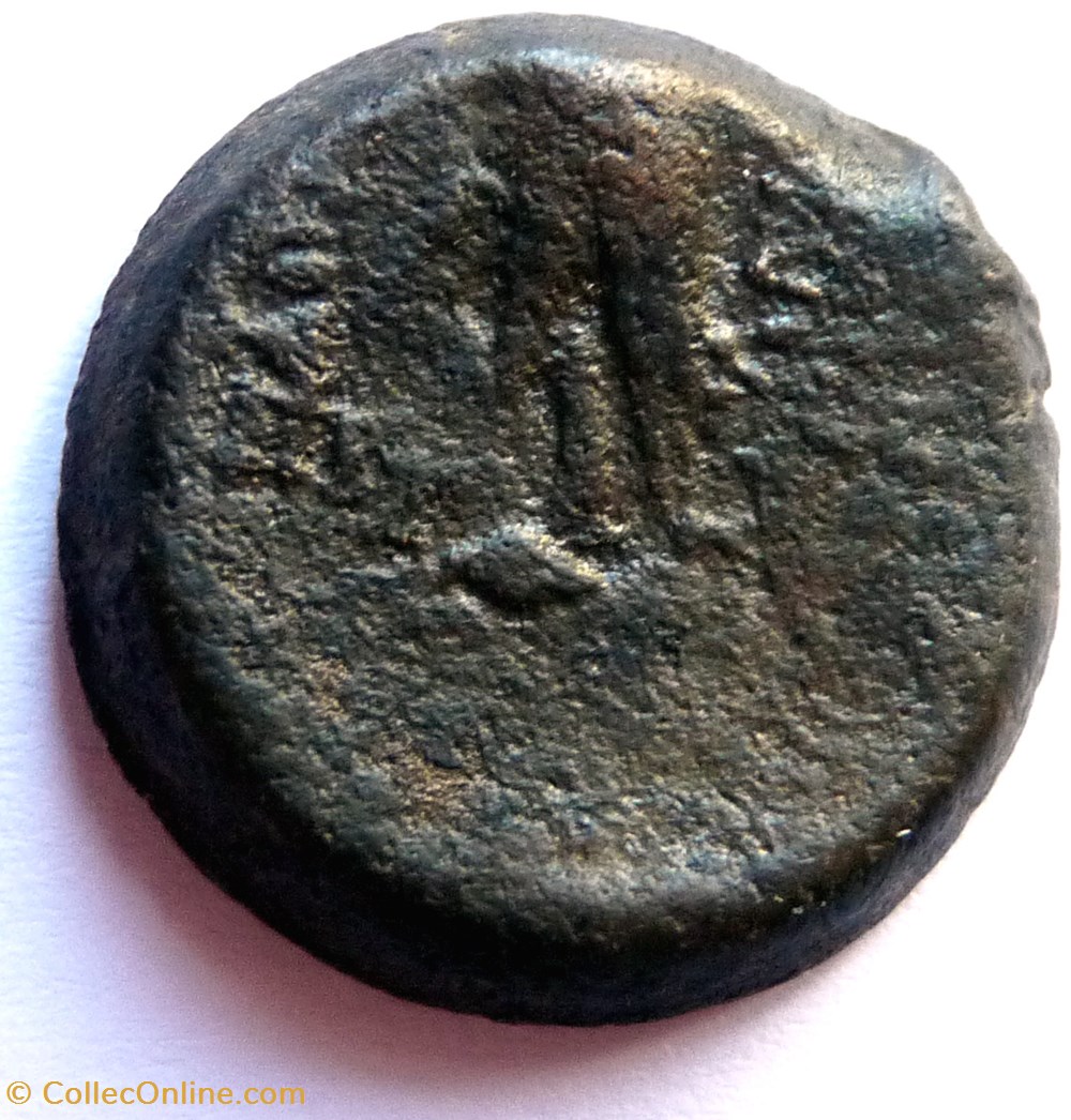 Royaume séleucide - Antiochos VIII 126-96 monnaies antiques grecques royaume seleucide antiochos viii 126 96