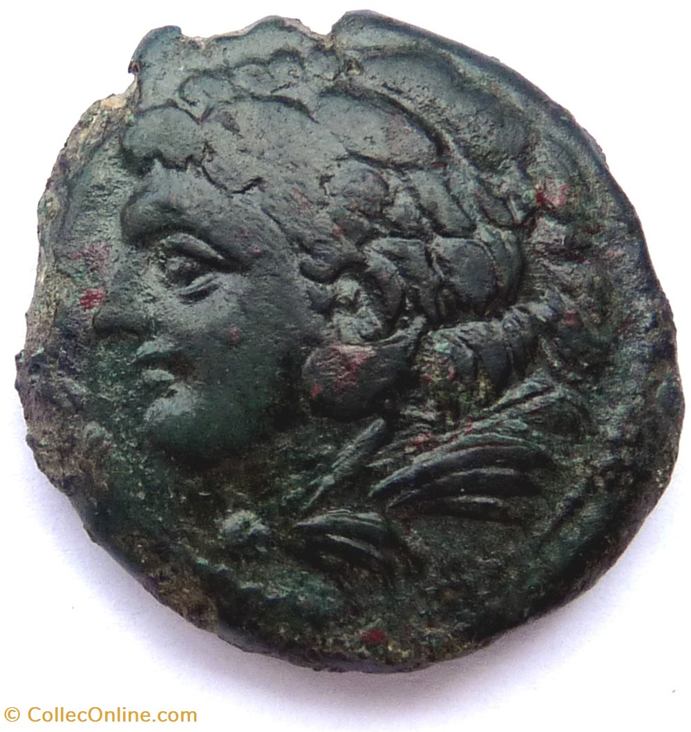 Monnaie de Sicile - Pyrrhus 1er (318-272) monnaies antiques grecques monnaie de sicile pyrrhus 1er 318 272