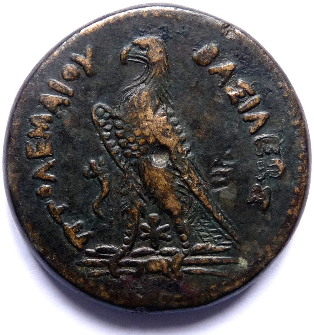 Royaume Lagide - Ptolémée III Evergète 246-222 monnaies antiques grecques royaume lagide ptolemee iii evergete 246 222