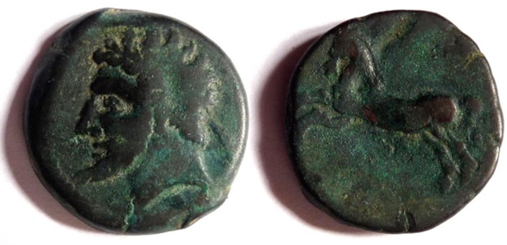 Royaume de Numidie - Massinissa (203-148) ou Micipsa (148-118) monnaies antiques royaume de numidie massinissa 203 148 ou micipsa 148 118