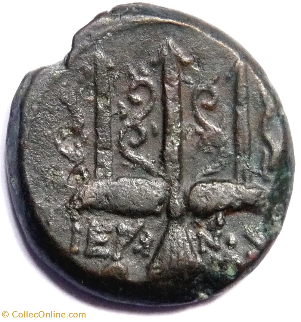Monnaie de Sicile - Hieron II 270-215 av JC monnaies antiques grecques monnaie de sicile hieron ii 270 215 av jc