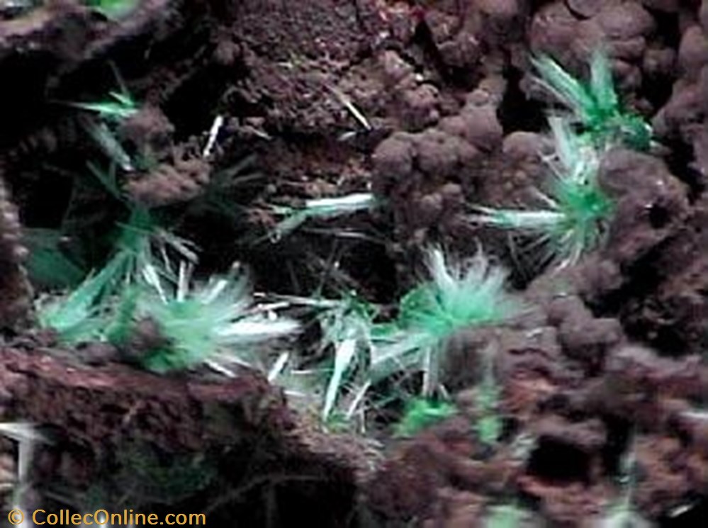 Agardite-Ce 3 mineral meteorite agardite ce