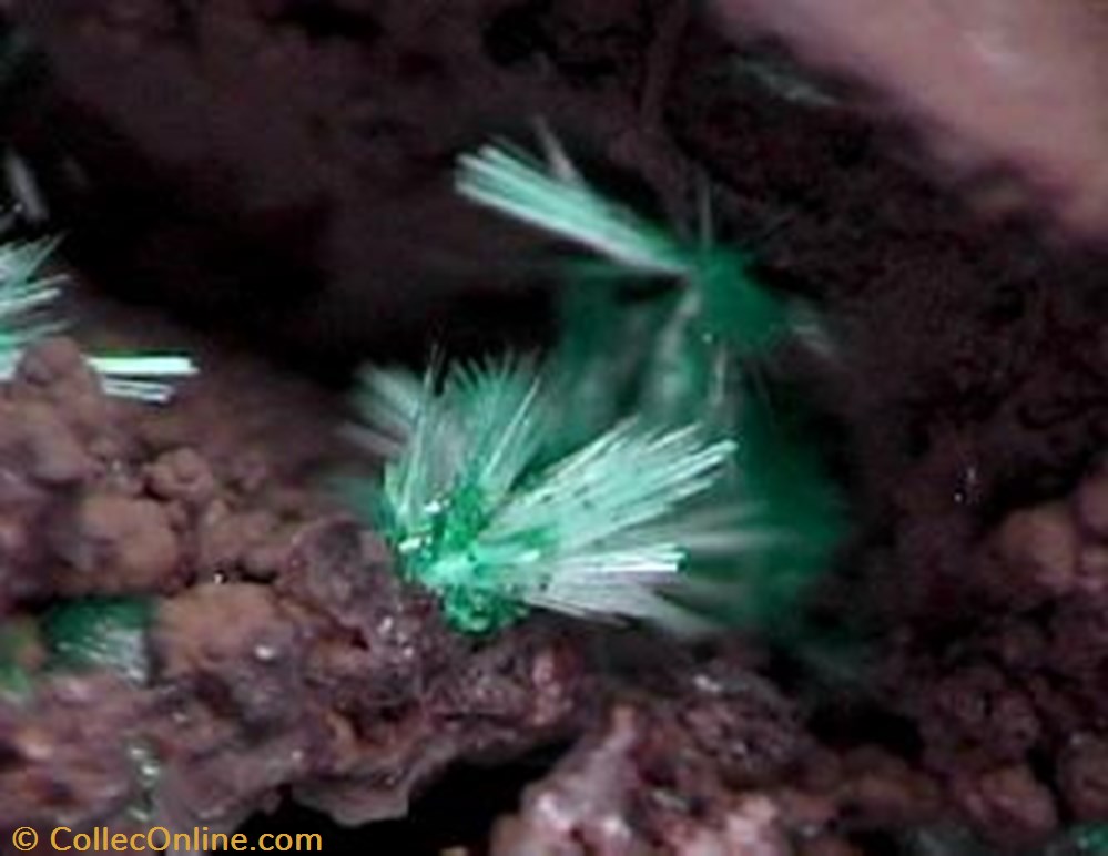 Agardite-Ce 4 mineral meteorite agardite ce