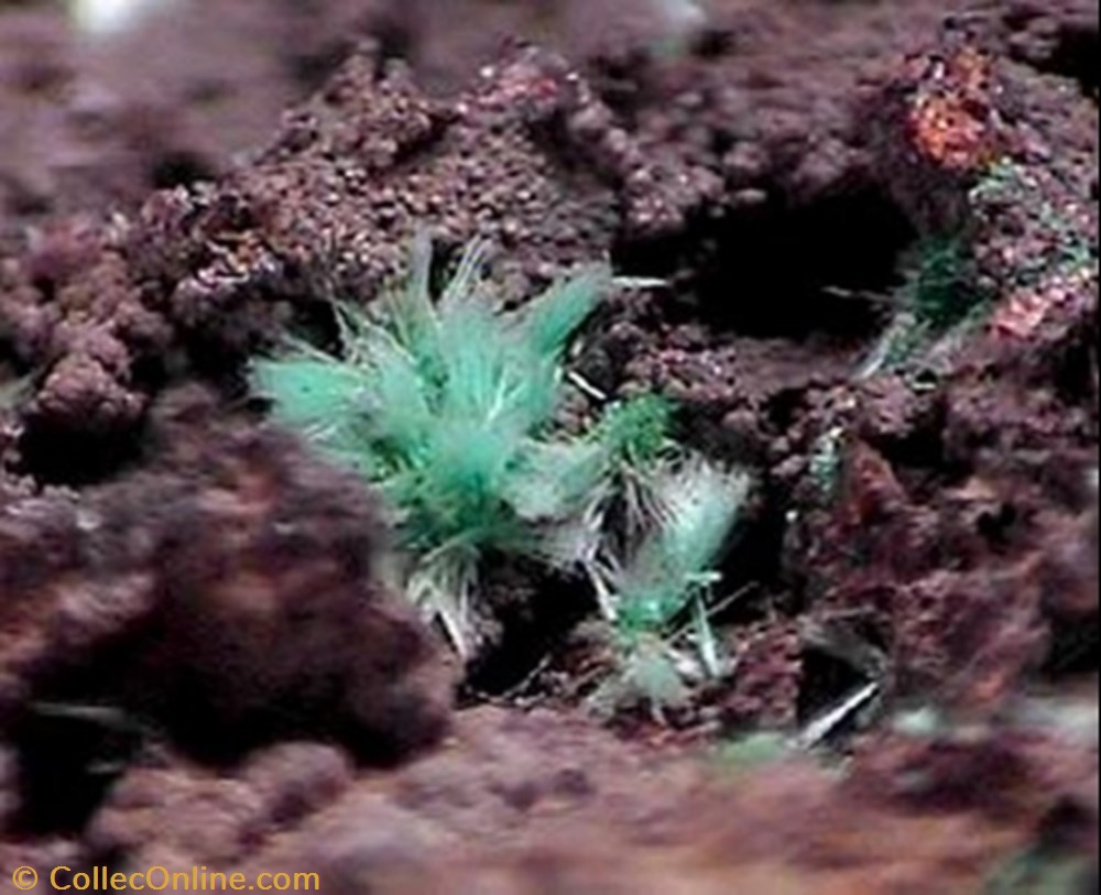 Agardite-Ce 2 mineral meteorite agardite ce