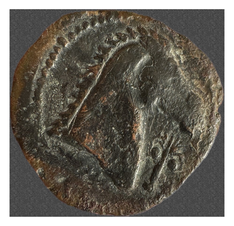 GRANDE GRECE ZEUGITANE CARTHAGE 4 monnaies antiques grecques grande grece zeugitane carthage