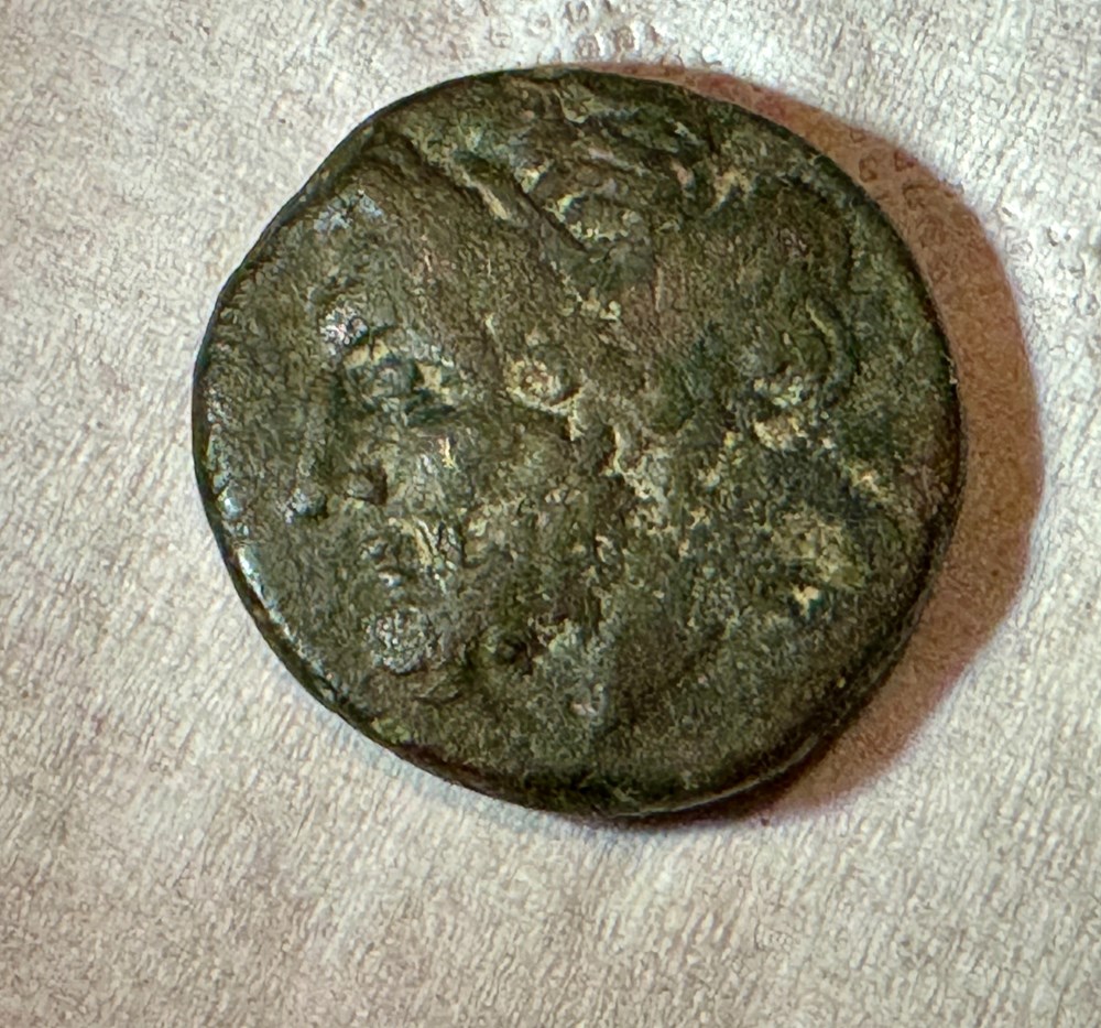 GRANDE GRECE SICILE SYRACUSE HIERON II monnaies antiques grecques grande grece sicile syracuse hieron ii