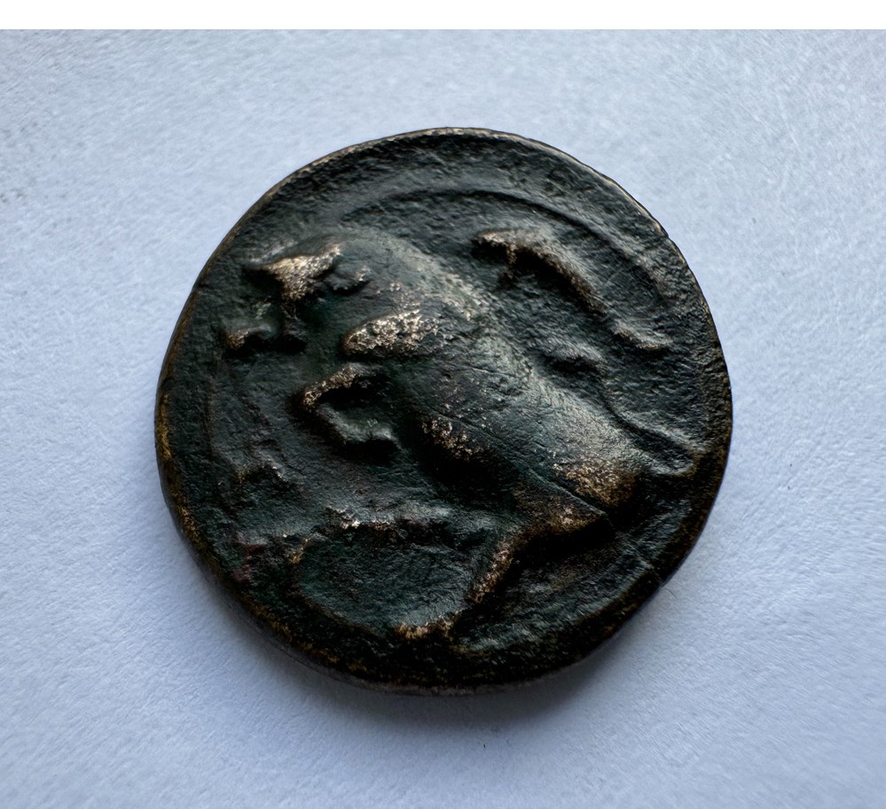 GRANDE GRECE SYRACUSE AGATHOKLES 4 monnaies antiques grecques grande grece syracuse agathokles