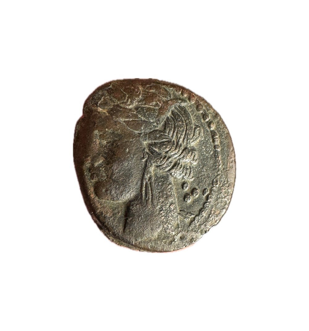 GRANDE GRECE ZEUGITANE CARTHAGE monnaies antiques grecques grande grece zeugitane carthage