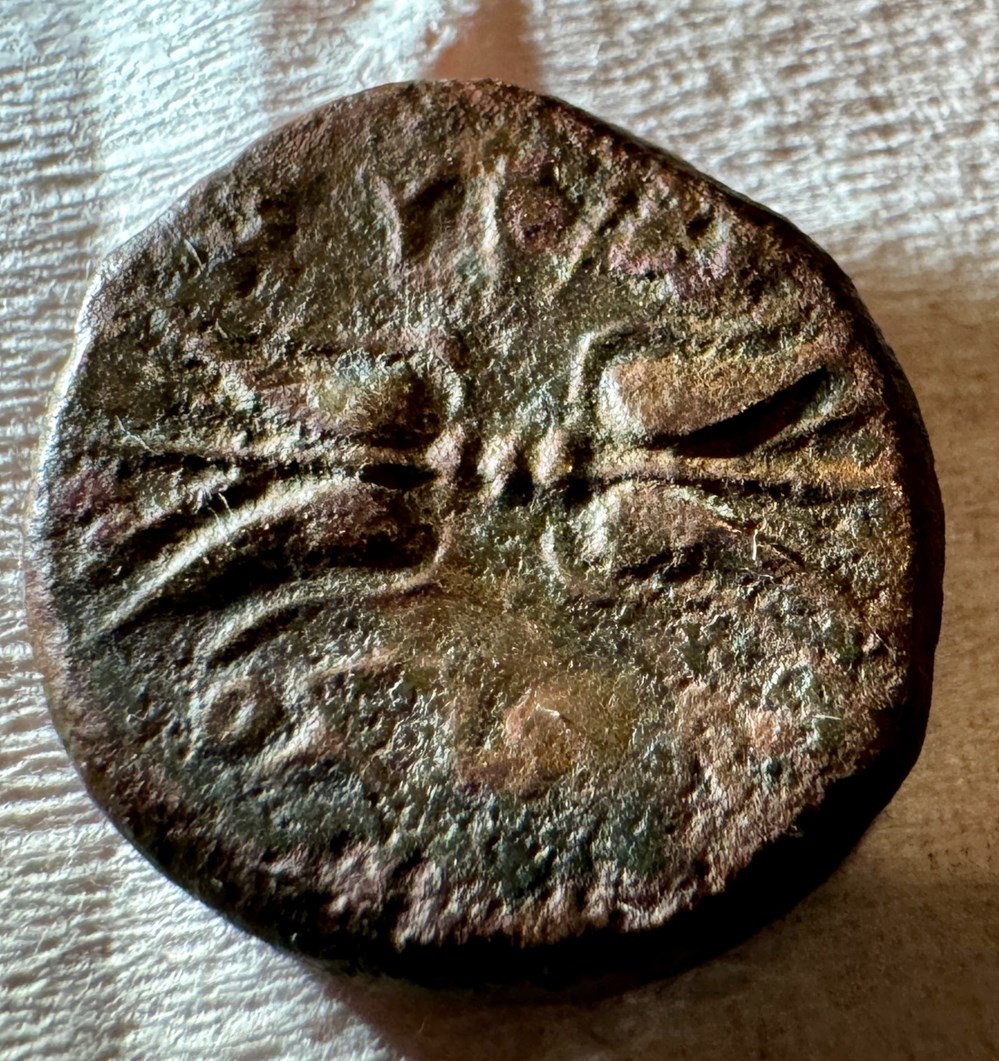 GRANDE GRECE SYRACUSE AGATHOKLES 2 monnaies antiques grecques grande grece syracuse agathokles