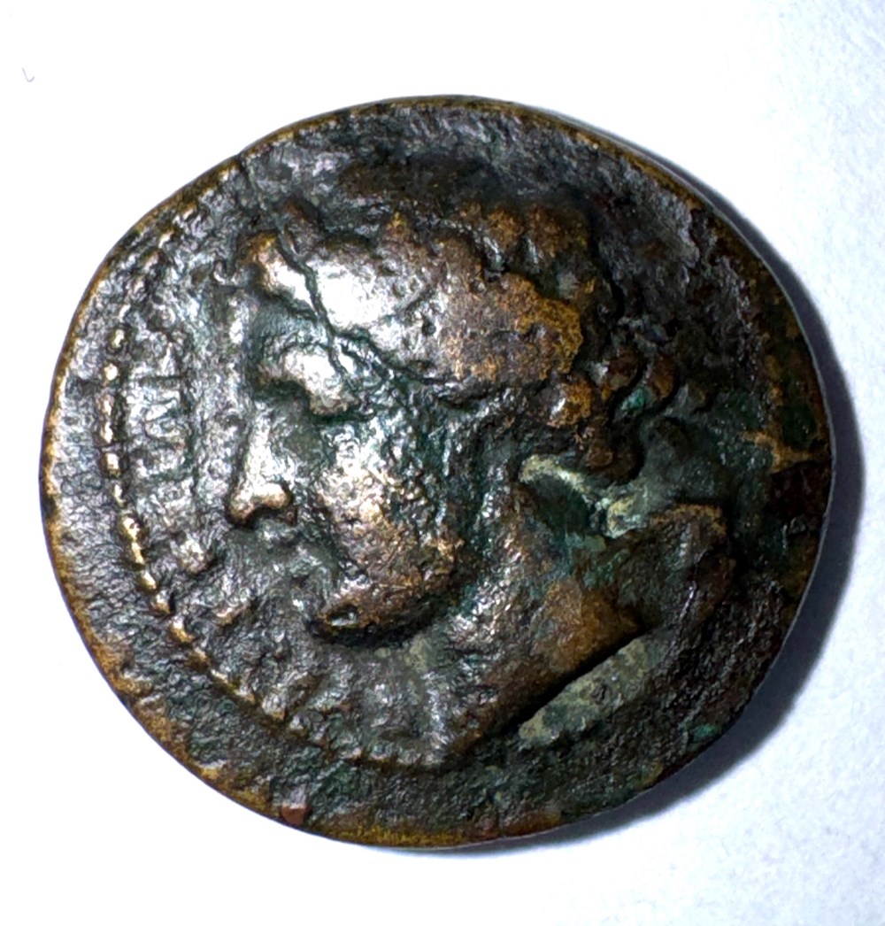 GRANDE GRECE SYRACUSE AGATHOKLES 2 monnaies antiques grecques grande grece syracuse agathokles