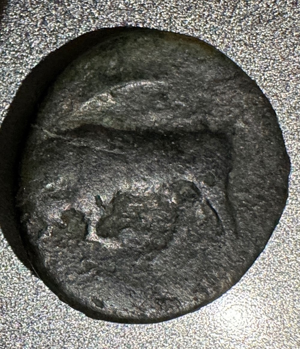 GRANDE GRECE SICILE SYRACUSE HIERON II monnaies antiques grecques grande grece sicile syracuse hieron ii