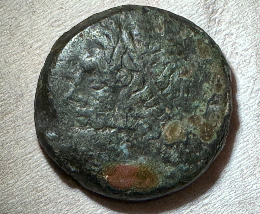 GRANDE GRECE SICILE SYRACUSE HIERON II monnaies antiques grecques grande grece sicile syracuse hieron ii