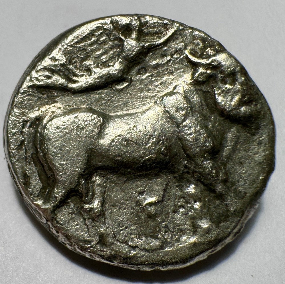 Grande Grèce Naples Campanie Nomos monnaies antiques grecques grande grece naples campanie nomos