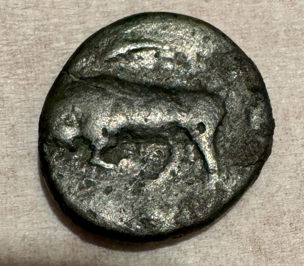GRANDE GRECE SICILE SYRACUSE HIERON II 3 monnaies antiques grecques grande grece sicile syracuse hieron ii