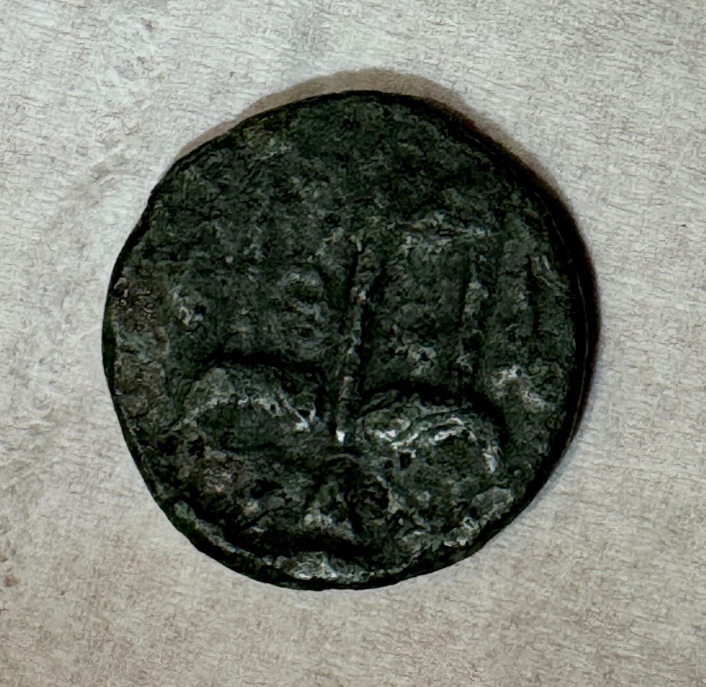 GRANDE GRECE SICILE SYRACUSE HIERON II monnaies antiques grecques grande grece sicile syracuse hieron ii