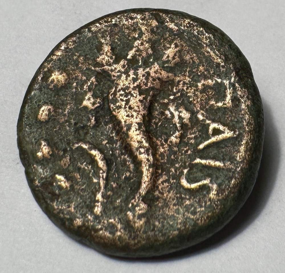 Grande Grèce Lucania Paestum monnaies antiques grecques grande grece lucania paestum