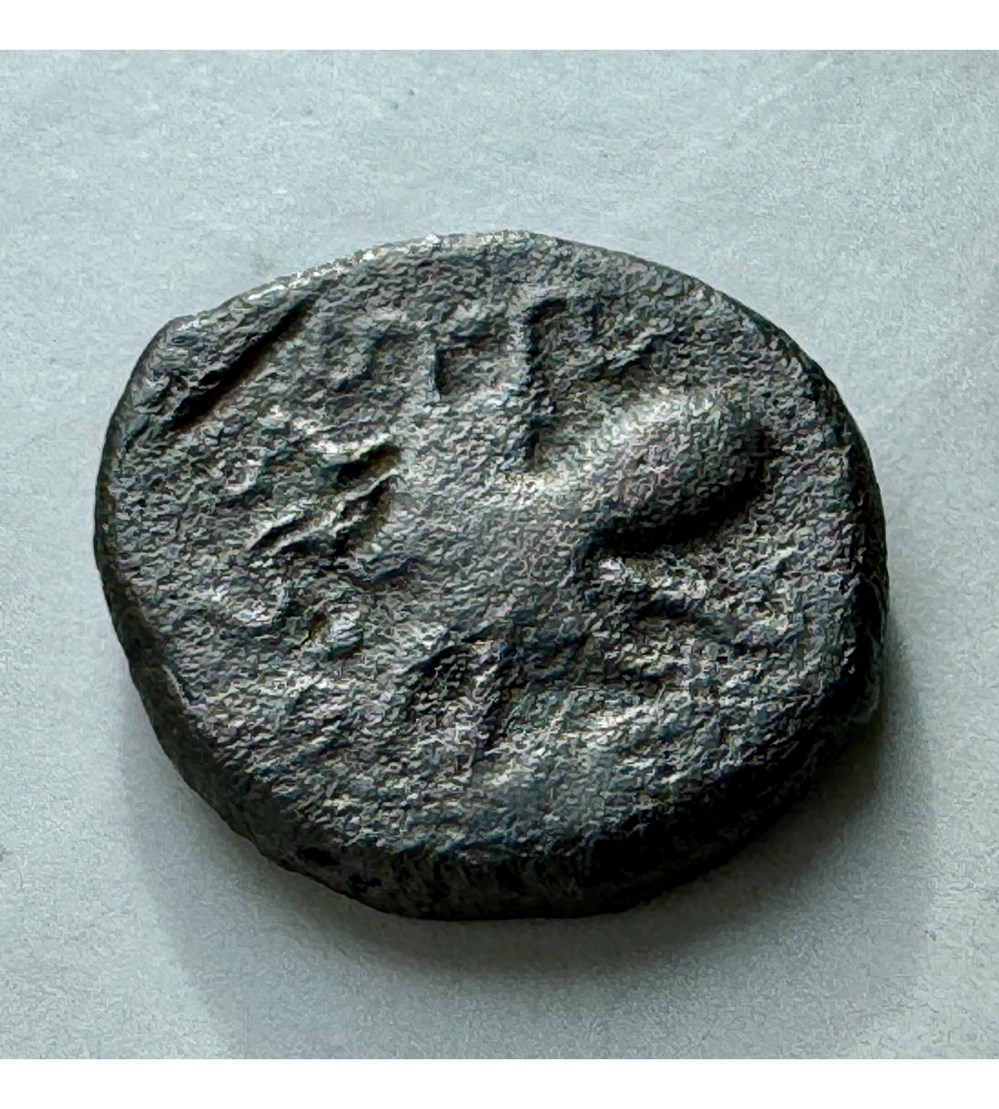 GRANDE GRECE SICILE SYRACUSE monnaies antiques grecques grande grece sicile syracuse