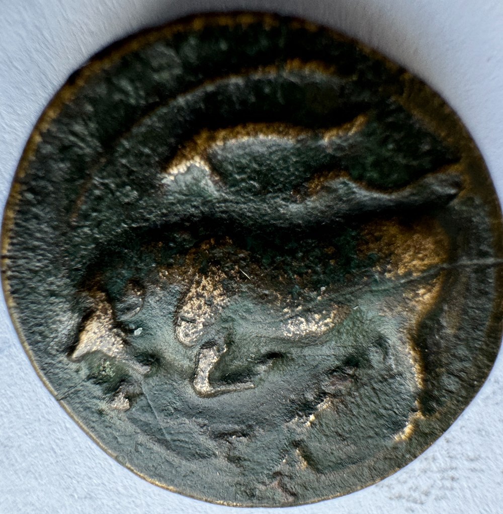 GRANDE GRECE SYRACUSE AGATHOKLES 5 monnaies antiques grecques grande grece syracuse agathokles