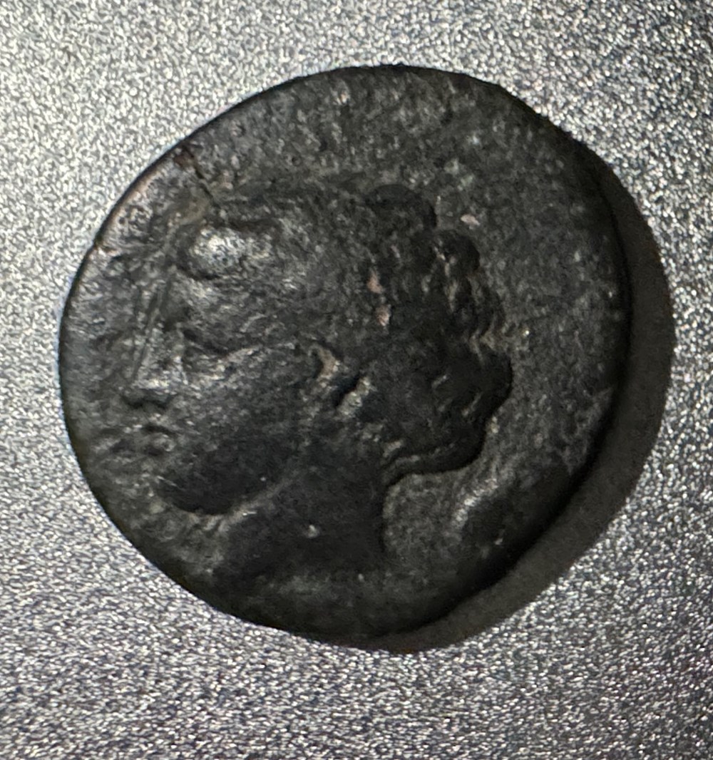 GRANDE GRECE SICILE SYRACUSE HIERON II 2 monnaies antiques grecques grande grece sicile syracuse hieron ii