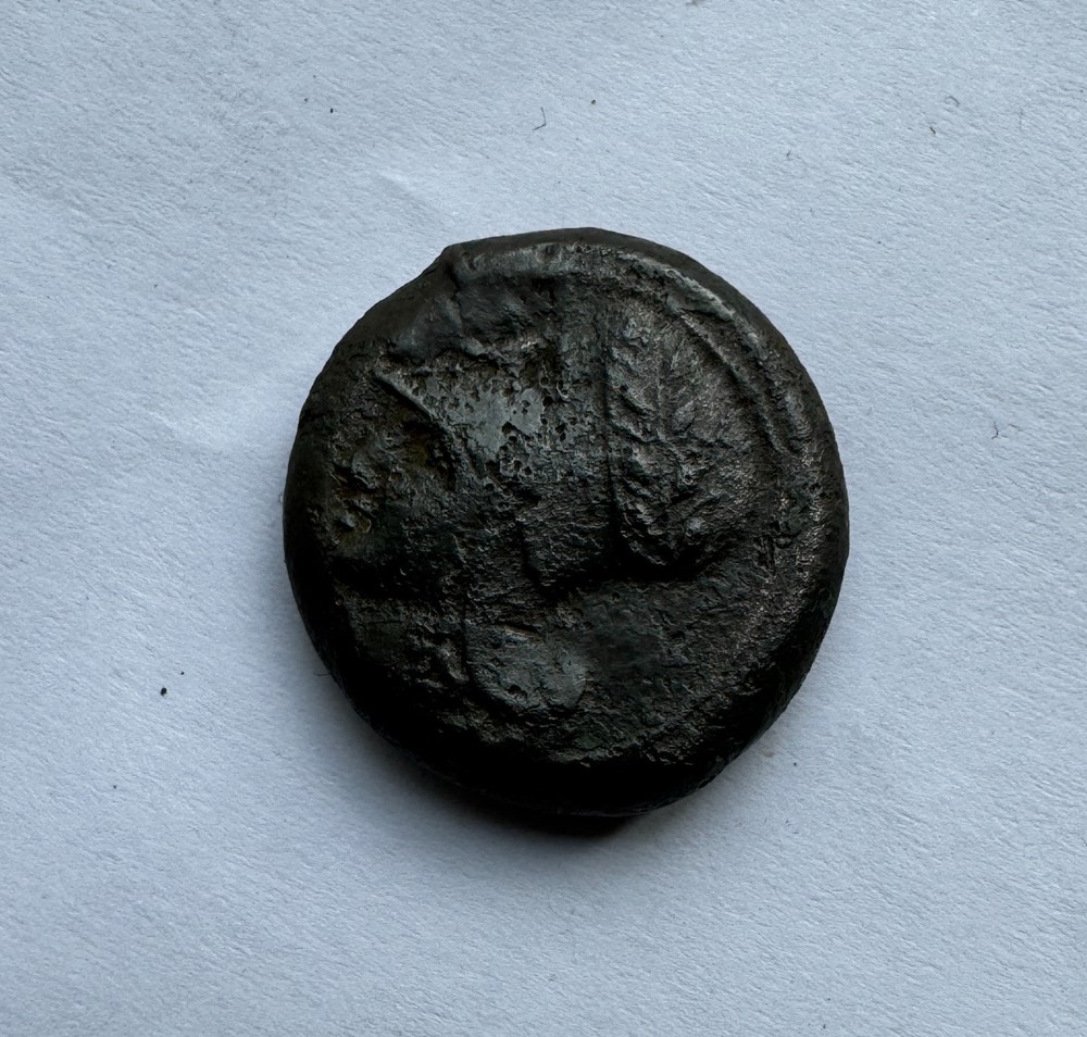 Grande Grèce Sicile Syracuse 3 monnaies antiques grecques grande grece sicile syracuse