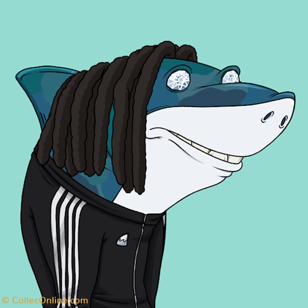 Snarky Shark #241 nft art snarky shark 241