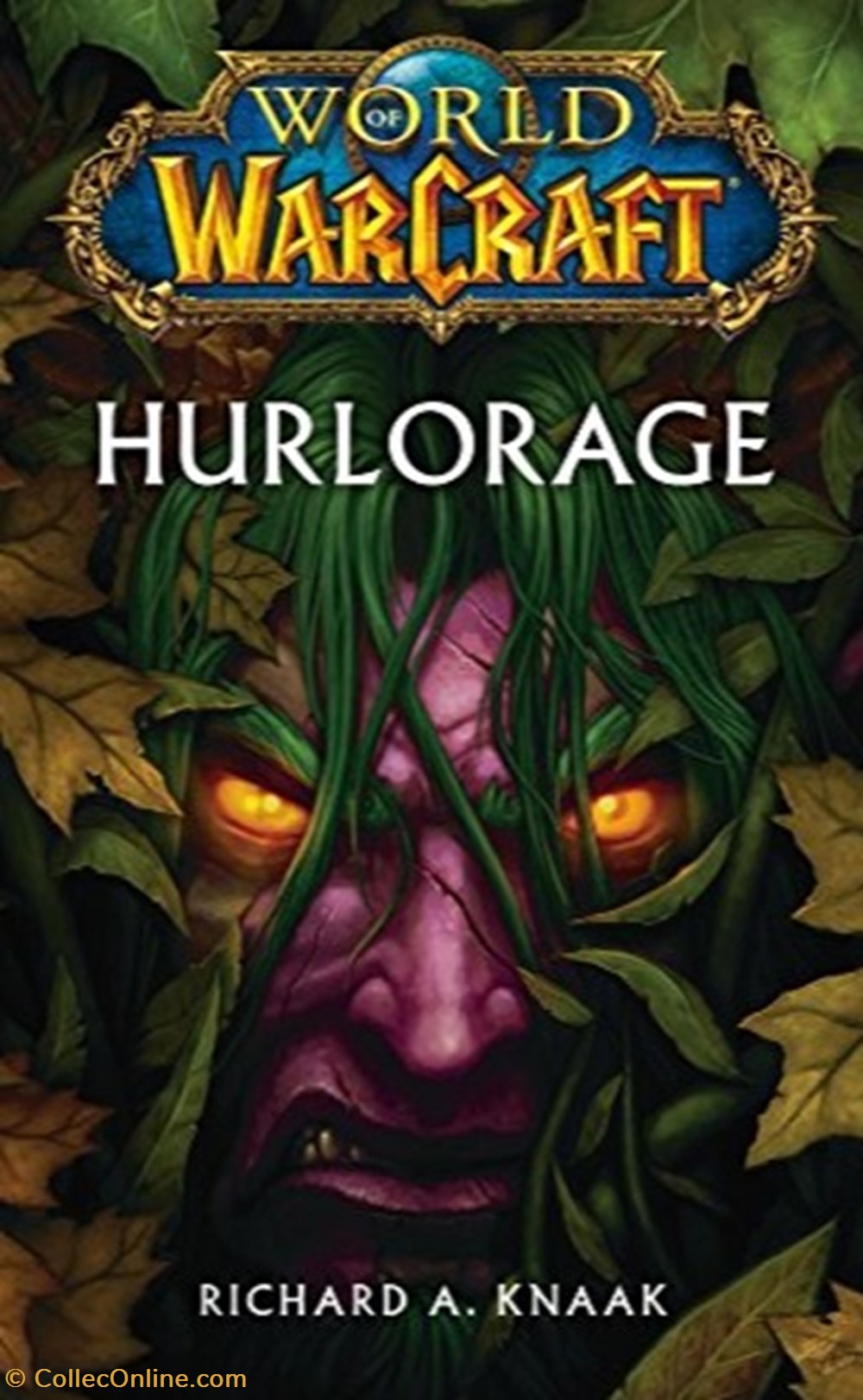 WORLD OF WARCRAFT : Hurlorage livres bd revues world of warcraft hurlorage