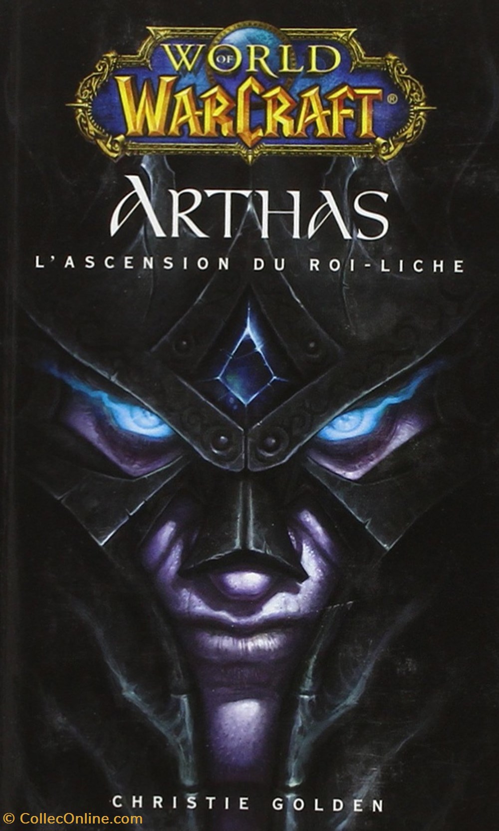 World of warcraft - Arthas l'ascension du Roi Liche livres bd revues world of warcraft arthas ascension du roi liche