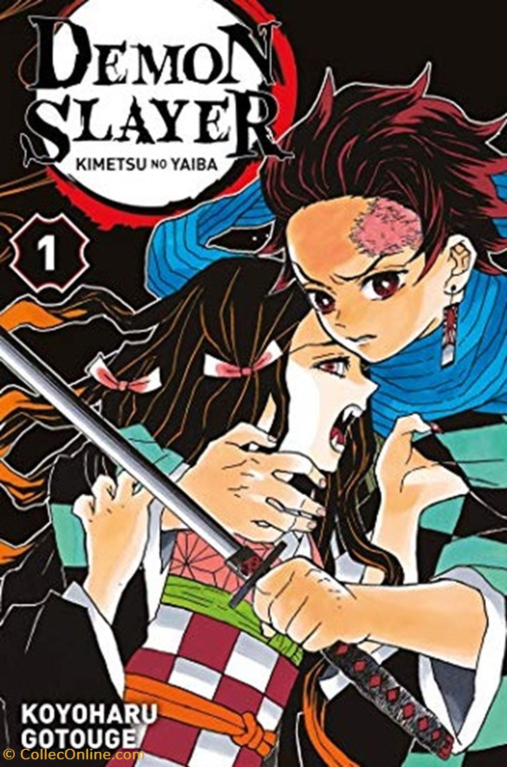 Demon Slayer T01 livres bd revues manga demon slayer t01
