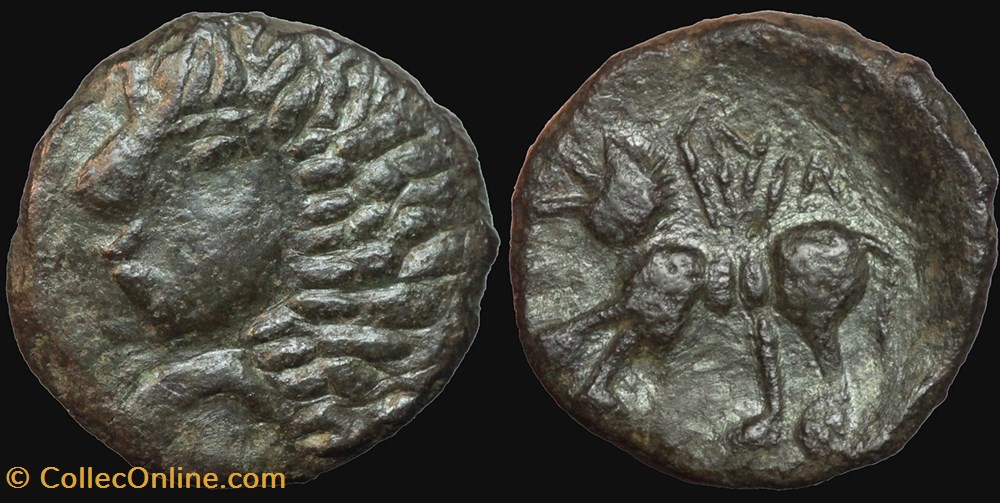 CARNUTES : Bronze au loup SNIA monnaies antiques celtes carnutes bronze au loup snia