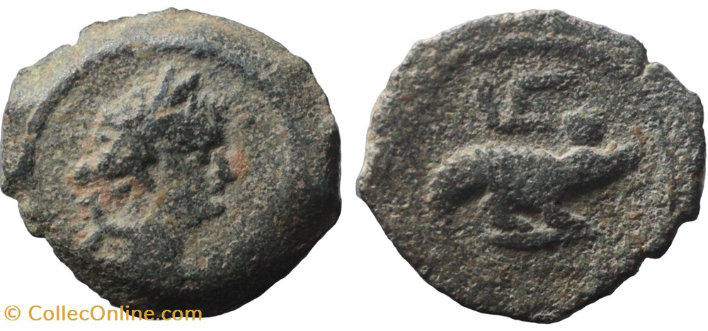 monnaies antiques romaines imperiales et republicaines domitien dichalkon au crocodile