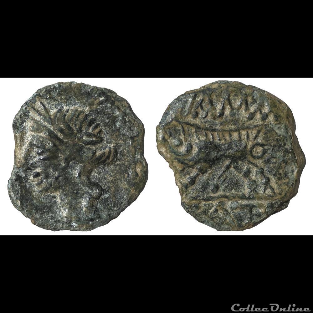 monnaie antique av jc ap gauloise bronze au sanglier 3