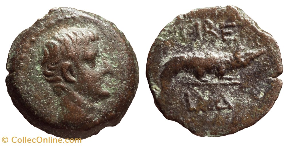 Tibère - Dichalkon au crocodile monnaies antiques romaines imperiales et republicaines tibere dichalkon au crocodile