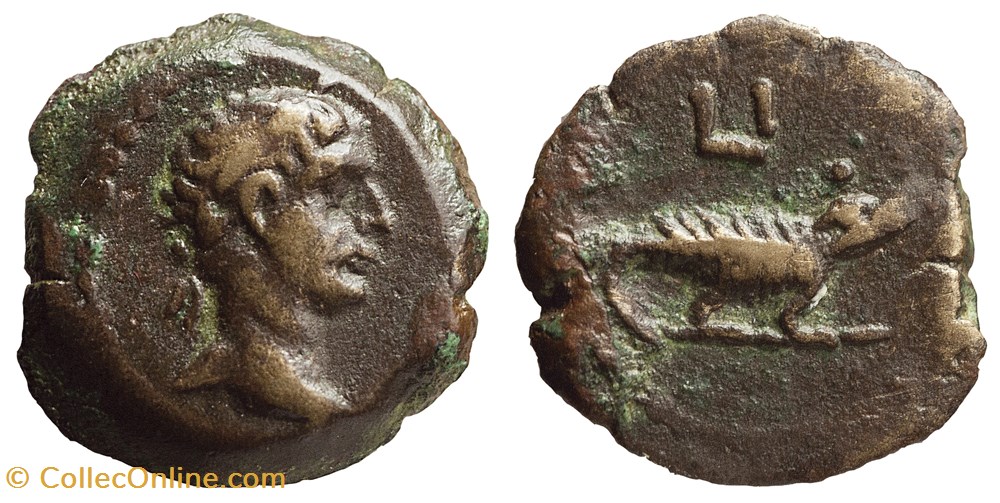 Trajan - Dichalkon monnaies antiques romaines imperiales et republicaines trajan dichalkon