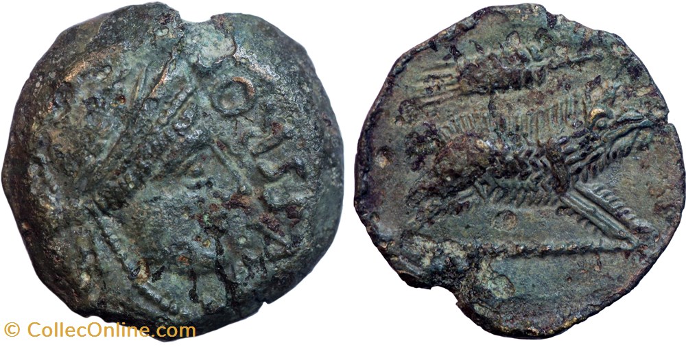 monnaies antiques celtes turons bronze agvssros