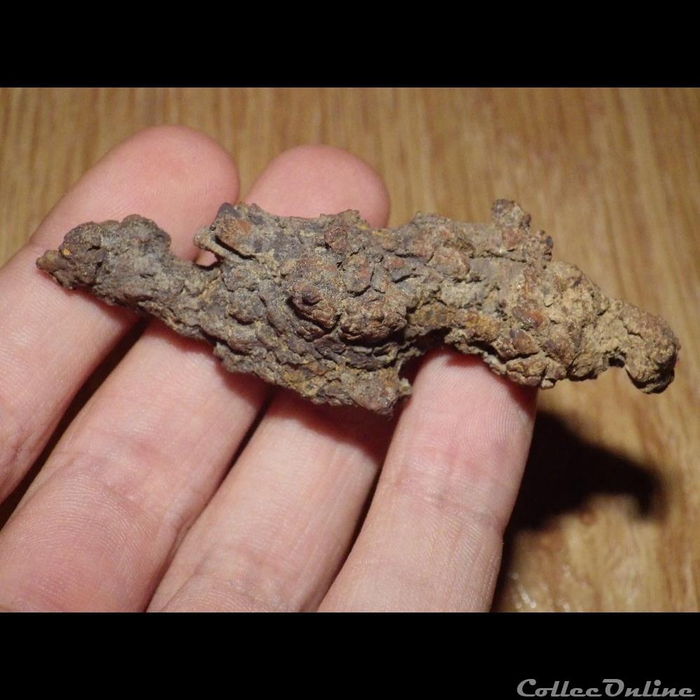 Coprolithe coquillage fossile coprolithe