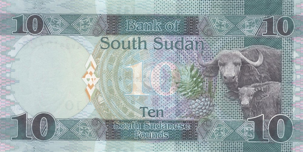 10 livres billets afrique soudan du sud 10 livres